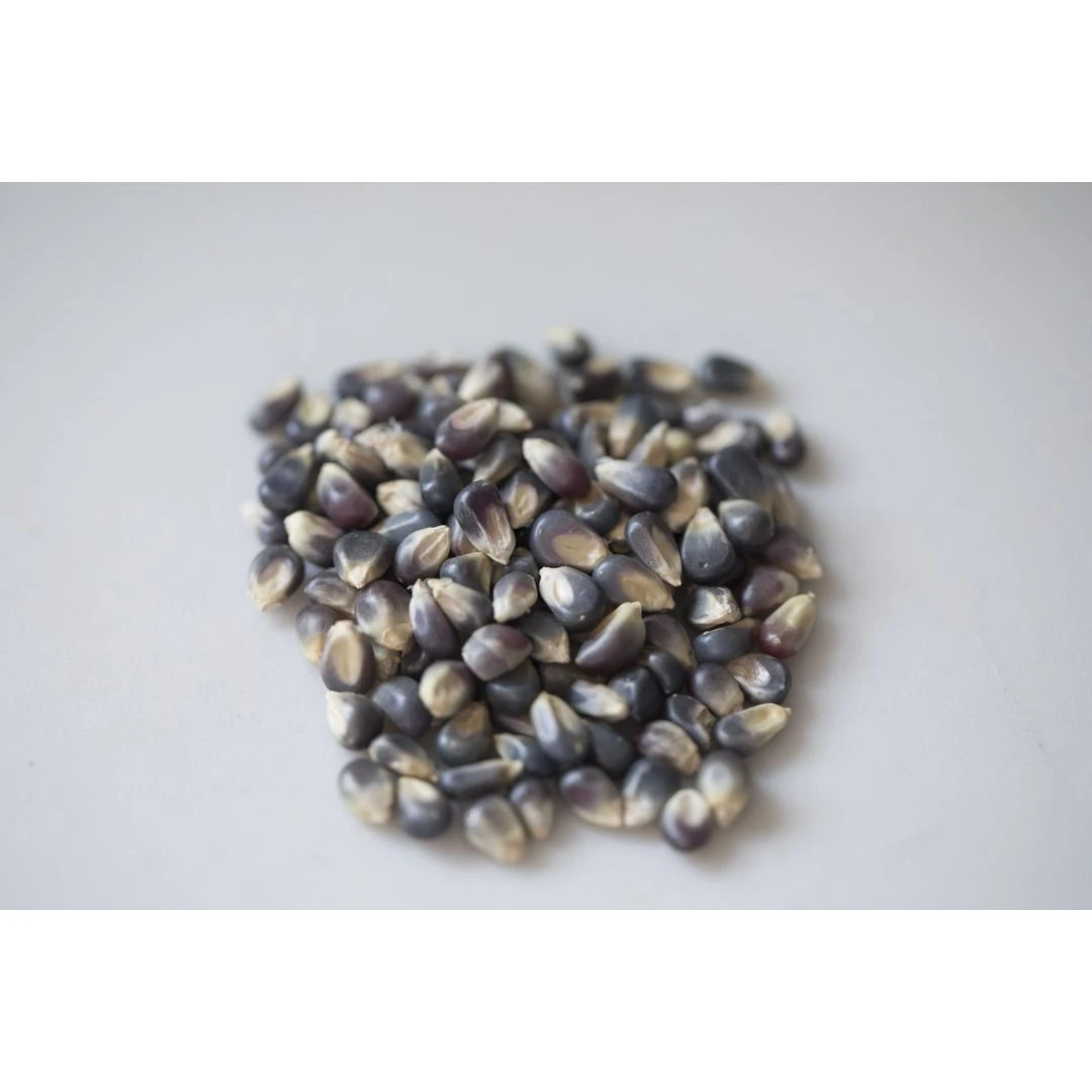 Amish Country Popcorn Midnight Blue Popcorn, MB-16012, 2 LB Bag 4 Amish Country Popcorn Midnight Blue Popcorn, MB-16012, 2 LB Bag - Image 2