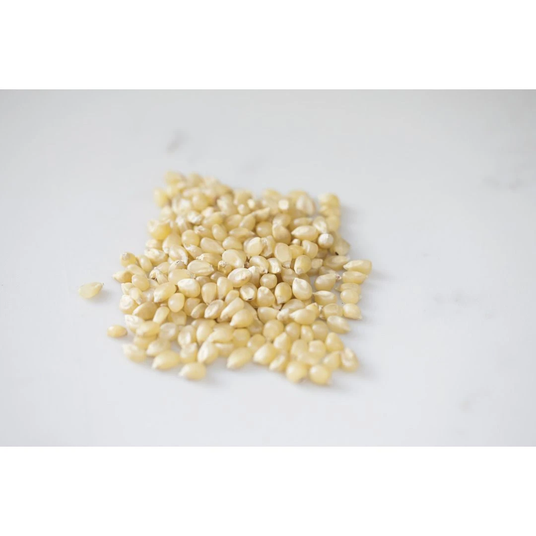 Amish Country Popcorn Medium White Popcorn, MW-16004, 2 LB Bag 4 Amish Country Popcorn Medium White Popcorn, MW-16004, 2 LB Bag - Image 2