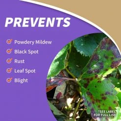 BONIDE CAPTAIN JACK'S Orchard Spray Concentrate, 32 oz -Deals Home Goods Store sftp a s assets20220701000000043